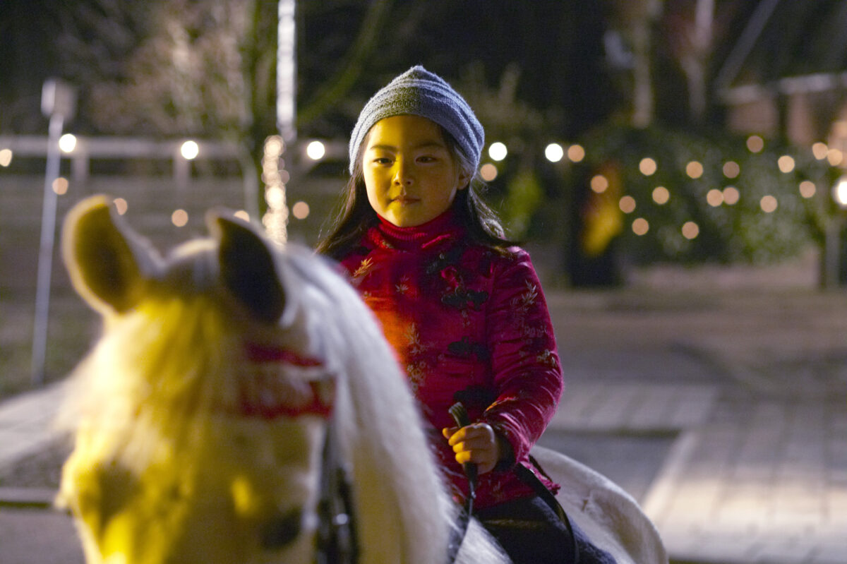 The Festival Director recommends his favourite films!