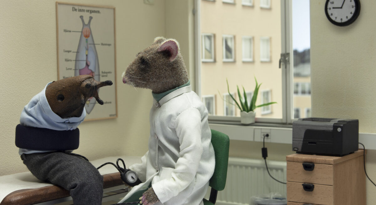 Festival recommendations #3