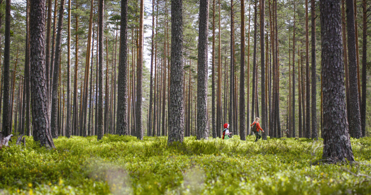 When parents aren’t right there. Barbara Kowalewska writes about ‘Los Lobos’ and ‘Sisters: The Summer We Found Our Superpowers’